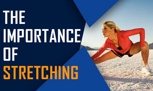 The Importance of Stretching