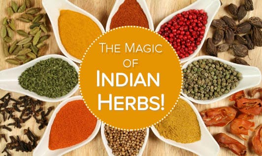 The Magic of Indian Herbs!