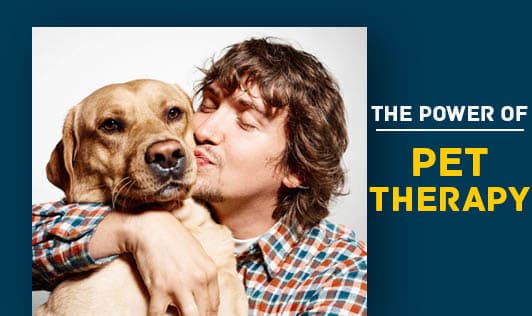 Pet Therapy