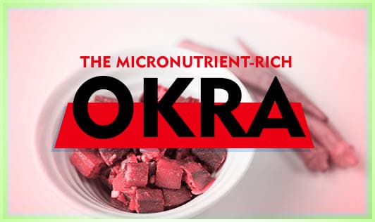 The micronutrient-rich Okra