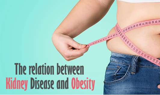 The relation between Kidney Disease and Obesity