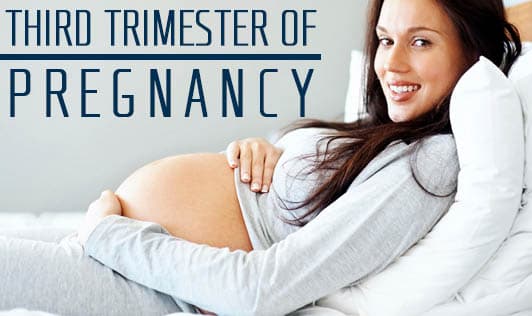 Third Trimester of Pregnancy