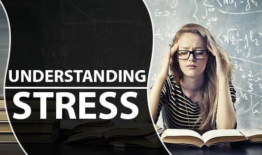 Understanding Stress