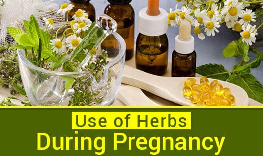 Use of Herbs during Pregnancy