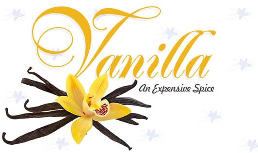 Vanilla- An Expensive Spice