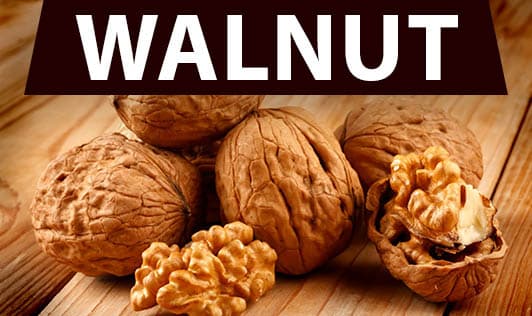 Walnut