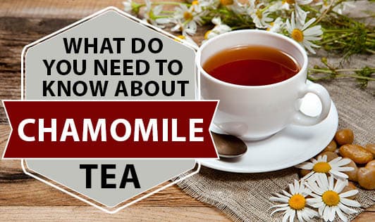 What Do you Need to Know About Chamomile Tea