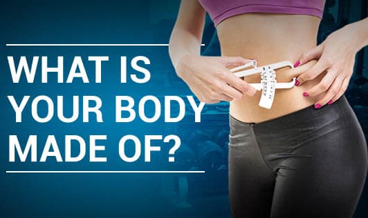What Is Your Body Made Of?