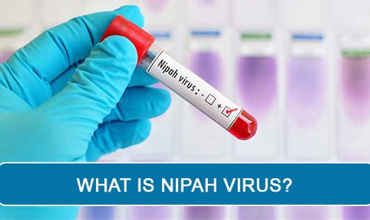 What is Nipah virus?