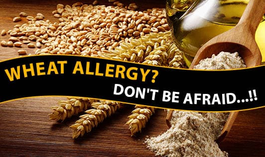 Wheat Allergy? Don't Be Afraid...!!