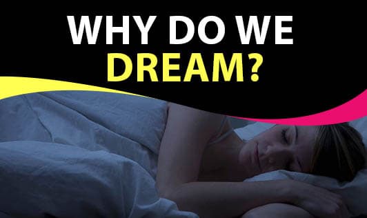 Why Do We Dream?