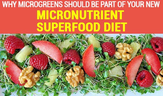Why Microgreens should be part of your new micronutrient superfood diet