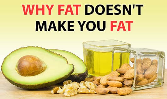 Why fat doesn't make you fat