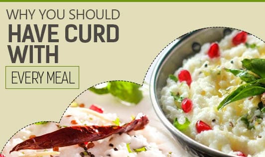 Why you should have curd with every meal