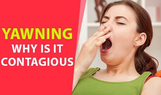 Yawning- Why Is It Contagious