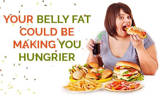Your Belly Fat Could Be Making You Hungrier