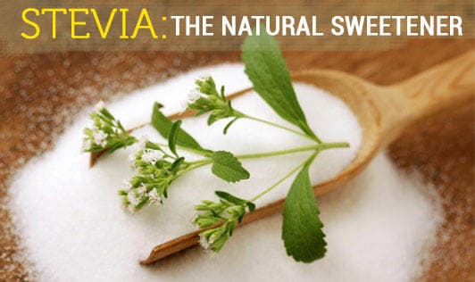 Stevia: the natural Sweetener