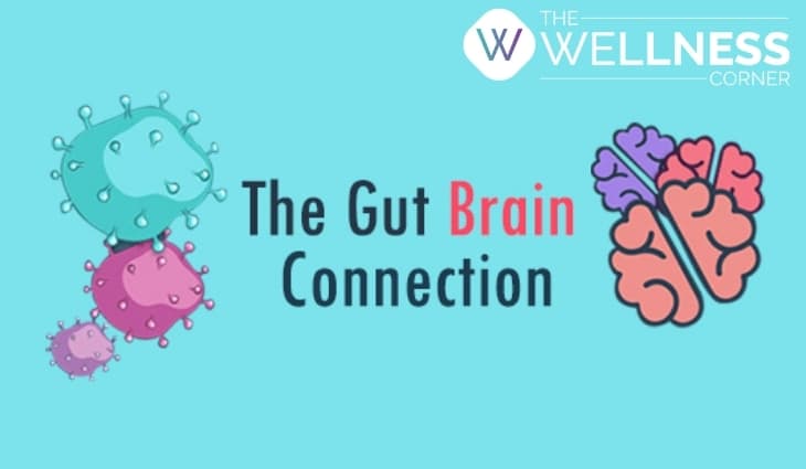 The Gut-Brain Connection