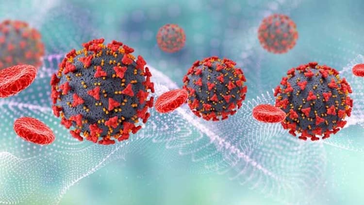 Omicron Variant Spreading Faster Than Previous Coronaviruses!