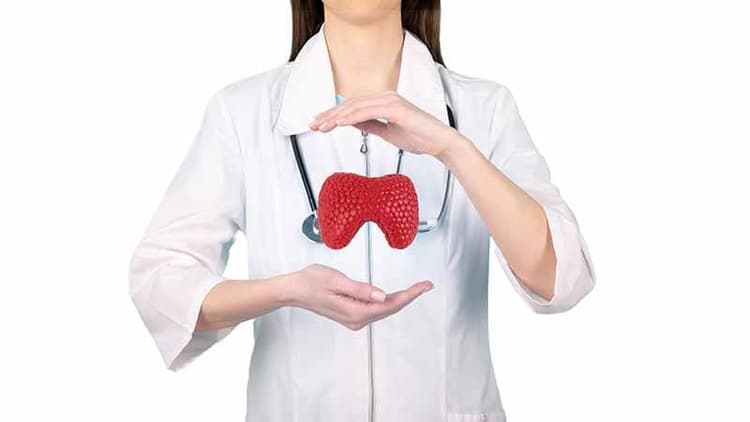 All That You Need To Know About Thyroid
