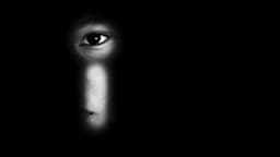 blog-image