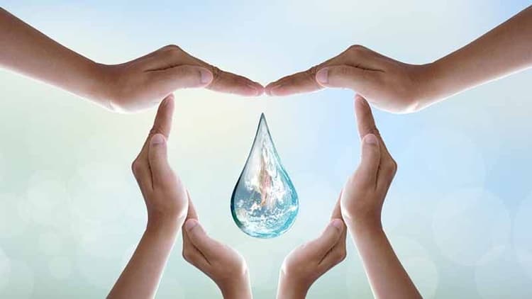 How Can I Save Water?