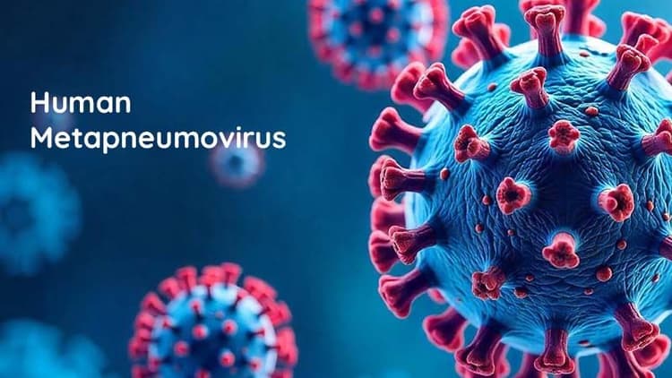Understanding And Preventing Human Metapneumovirus (HMPV)