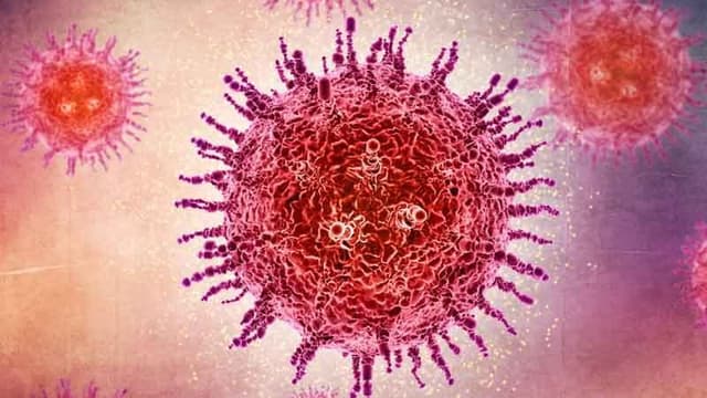 nipah-virus-whats-true-whats-myth