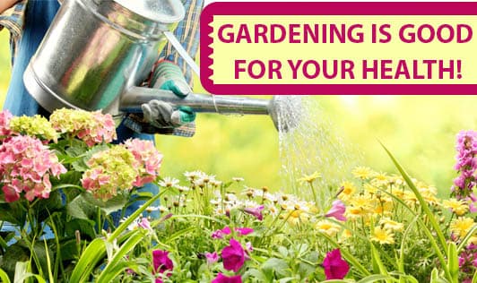 Gardening is good for your health!
