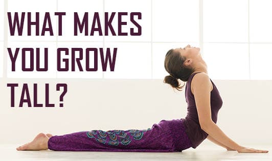 What Makes You Grow Tall?