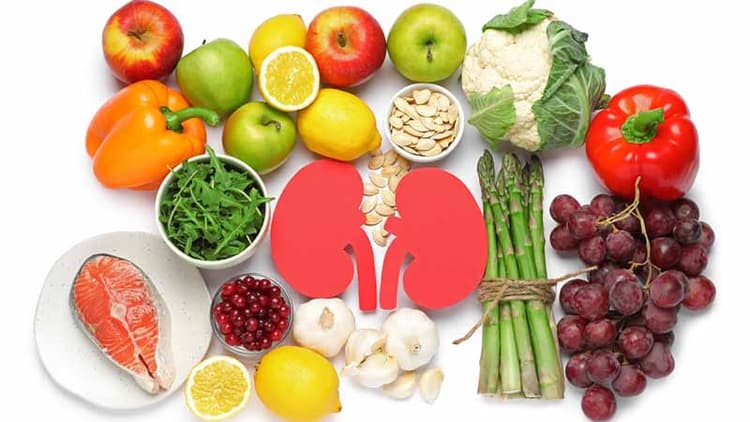 Healthy Kidneys With Healthy Diet