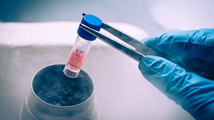 Fertility Can Be Frozen: Frozen Embryo Transfer