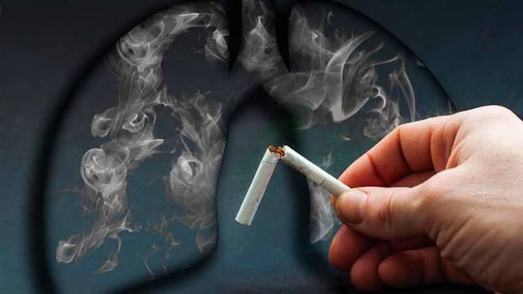 How Smoking Affects Your Body?