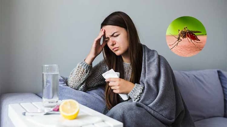 West Nile Fever: Lessons For India