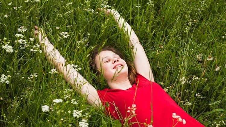 How Can Nature & Its Elements Help Restore Emotional Balance?