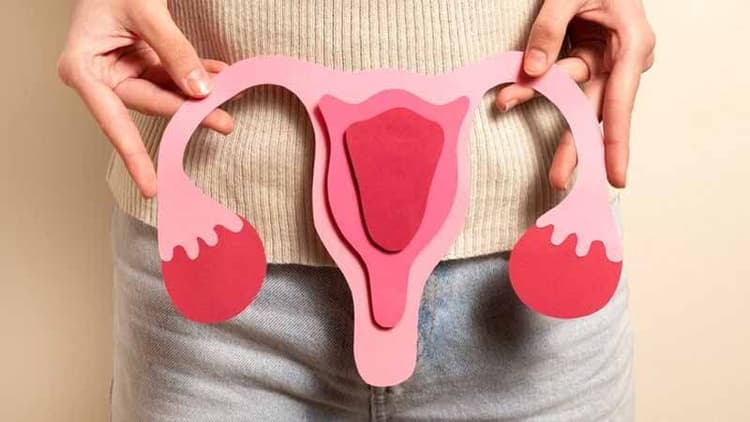 How To Keep Female Genitalia Clean?