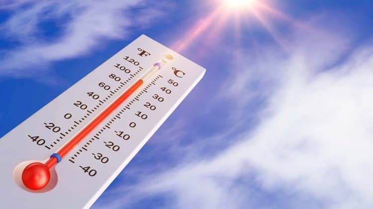 Feel The Heat? Stay Safe From Loo Winds This Summer